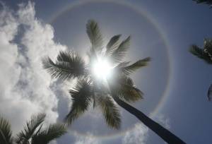 شکسته شدن رکورد ۱۰ ساله گرمای زمستانی در خوزستان/ ثبت موج گرمایی بی‌سابقه در بهمن