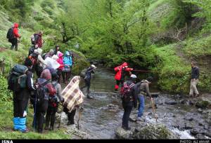 بازار دفاتر خدمات مسافرتی کرمانشاه کساد است