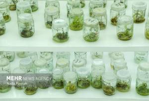 ایستگاه شوری گلستان پس از ۳۰ سال به مرکزاستاندارد تحقیقات تبدیل می‌شود