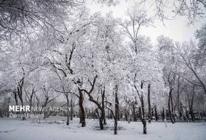 هشدار ورود سامانه بارشی جدید برف و باران شدید در  ۲۰ استان از فردا