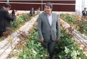 بهره‌برداری از گلخانه مکانیزه هیدروپونیک شهرستان زرند