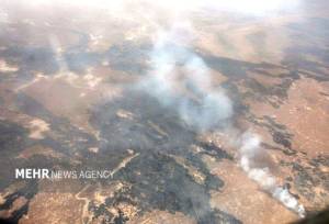 مهار سریع حریق در محور جنگلی رامسر - جواهرده