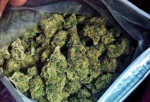 کشف و امحای۱۰۵کیلوگرم مواد مخدر در پاکدشت؛دادستان: برخوردها تداوم دارد