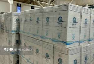 نحوه انتقال و توزیع متمرکز آب زمزم در حج تمتع پیشِ رو اعلام شد