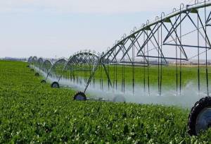 خوزستان پیشرو در صدور مجوزهای بخش کشاورزی