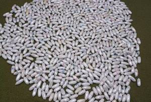 کشف بیش از ۱۲ کیلو هروئین فشرده در تایباد