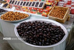 ایرج صفایی: ۵ تن خرما برای ماه رمضان در کرمانشاه ذخیره‌سازی شد