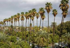 نوروز امسال راهی جیرفت شوید؛ جایی که بهار و تمدن همزمان شکوفا می‌شوند