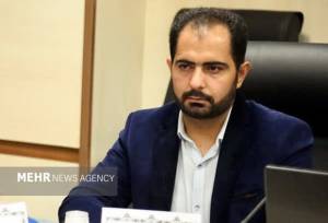 انصاری: انقلاب اسلامی با استقلال‌طلبی، منافع آمریکا را به چالش کشید