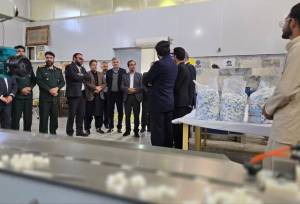 حمایت عملی از واحدهای راکد، نقش مؤثری در تثبیت اشتغال دارد