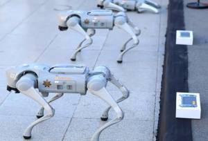 سگ‌های روباتیک نگهبان جام جهانی فوتبال ۲۰۲۶ می‌شوند