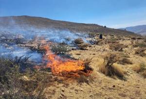 مهار آتش‌سوزی در جنگل‌های مرزن‌آباد؛ لاشبرگ‌ها طعمه حریق شدند