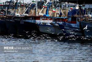 توقف حرکت کشتی‌ها به بنادر ایران و بالعکس تکذیب شد