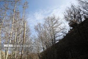 دمای هوای مشهد ۷ درجه کاهش می یابد؛ورود سامانه بارشی 