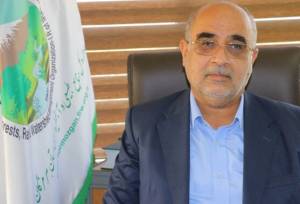 سرریز تمامی سازه‌های آبخیزداری هرمزگان پس از بارندگی‌های اخیر