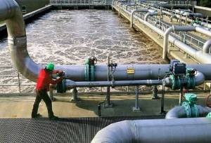 تبدیل ضایعات چوب به جاذب تصفیه پساب‌های صنعتی در دانشگاه آزاد شهرری