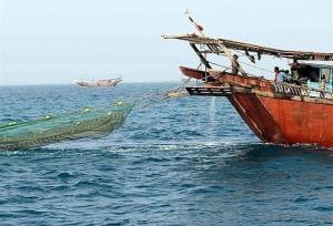 تأکید مرزبانی و شیلات بوشهر بر ساماندهی شناورهای صیادی