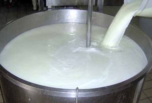 کیش‌ومات لبنیات در بازار متلاطم شیر خام