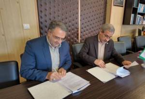 شهسواری: خدمات اورژانس اجتماعی بهزیستی در مدیریت بحران‌ها مؤثر است