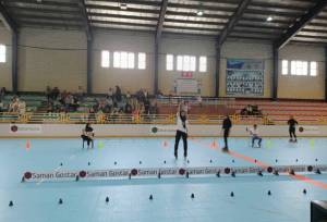 سرپرست اسکیت معرفی شد