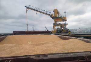 نظارت شبانه‌روزی دامپزشکی بر ترخیص نهاده‌های دامی در بنادر مازندران