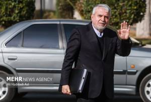 صالحی امیری:  ۱۴۰۵ سال شکوفایی صنایع دستی ایران است