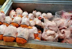 افزایش ۱۰ هزار تنی تولید گوشت مرغ در سیستان و بلوچستان