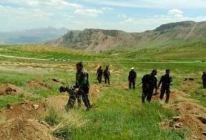 ۷۵ درصد مساحت لرستان در حوزه مأموریتی منابع طبیعی