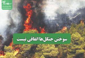 سوختن جنگل‌ها اتفاقی نیست