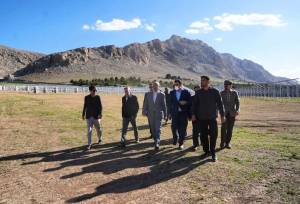 حبیبی: پروژه‌های خورشیدی باید پیش از پیک مصرف وارد مدار شوند