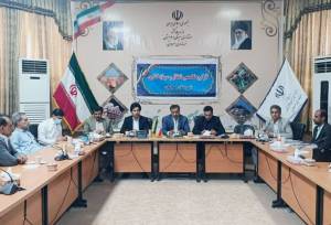 تحقق ۶۰ درصدی تعهد اشتغال در سراوان