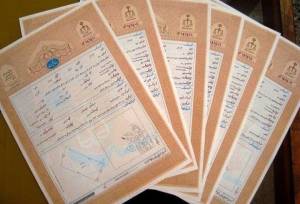 سند رسمی برای دو مجموعه ورزشی بزرگ البرز صادر شد