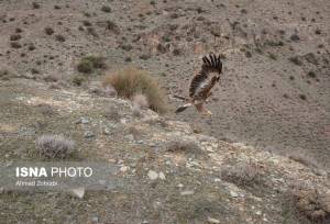 سرشماری منطقه پلنگ‌دره قم برای نخستین بار با استفاده از پهپاد