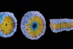 نسل جدید ربات‌ها که مانند زیردریایی در بدن شنا می‌کنند