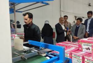 طرح مشکلات سردخانه‌داران بمی و تأکید بر ضرورت ایجاد پایانه صادراتی محصولات کشاورزی