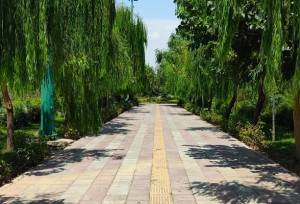 آغاز فوری پایش ایمنی بوستان‌ها در آستانه نوروز