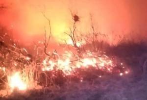 مهار آتش‌سوزی پنج هکتاری در تالاب قره قشلاق بناب