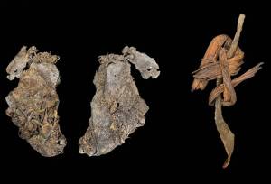 کشف شواهدی از قدیمی‌ترین تنپوش تاریخ بشر در اورگان