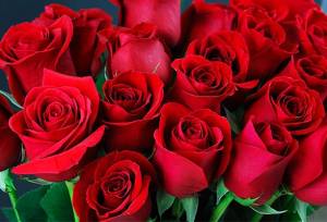 تثبیت جایگاه \