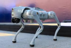 تامین امنیت جام جهانی با سگ‌های روباتیک!