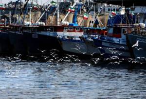 تکذیب توقف حرکت کشتی‌ها به بنادر ایران و بالعکس 