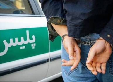 کشف ۷ قبضه سلاح جنگی از مخفیگاه‌ها+فیلم