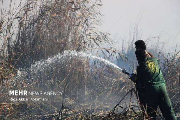 حریق حدود ۱۰ هکتاری در نیزارهای تالاب انزلی؛ عملیات مهار ادامه دارد