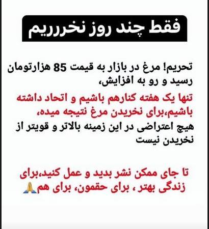 دعوت علی کریمی به تحریم مرغ