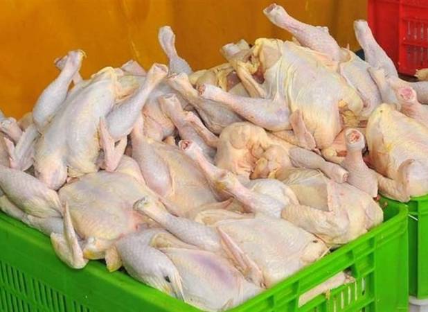نمی‌توان انتظار داشت مرغ در همه جا با یک قیمت به فروش برسد