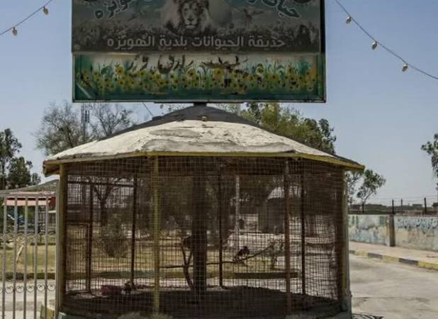 باغ وحش هویزه با دستور قضایی پلمب شد