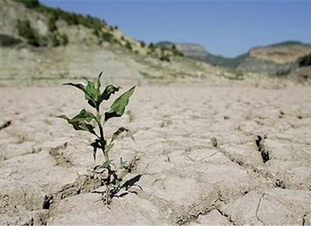 خسارت 4 هزار و ۴۰۰ میلیارد تومانی خشکسالی به کشاورزی لرستان