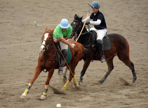 روز ملی چوگان در تقویم اضافه می‌شود 