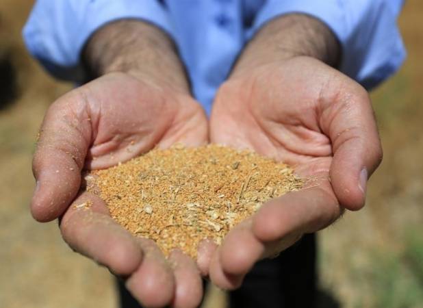 سود بازرگانی روغن و دانه‌های روغنی صفر می‌شود