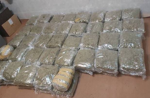 ۷۴ کیلوگرم ماده مخدر «گل» در گمرک آستارا کشف شد